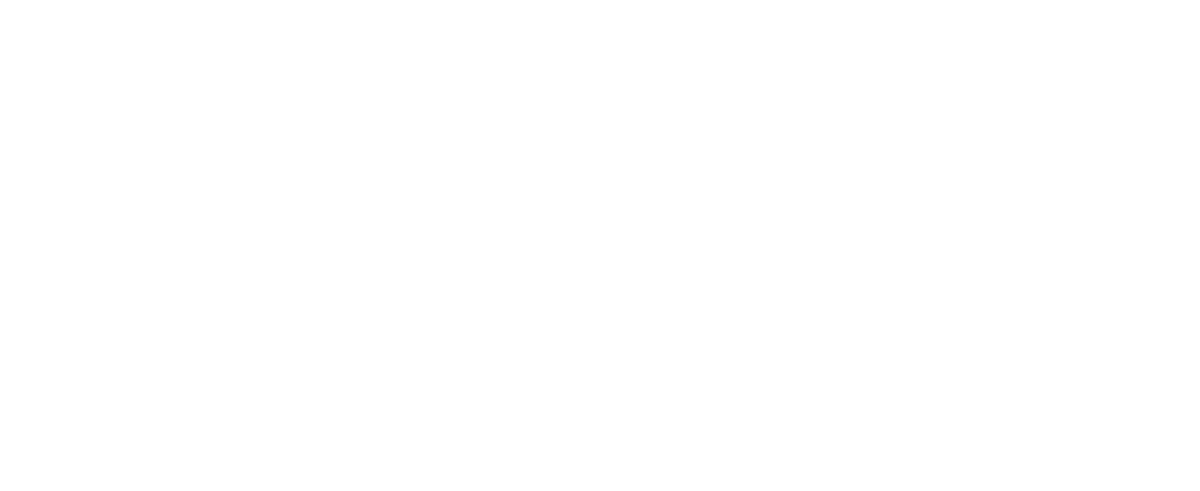 Salice Fashion